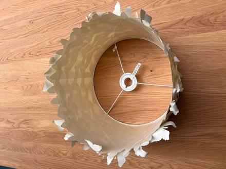 Photo of free Butterfly cream lamp shade (Teddington TW11) #2