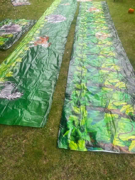 Photo of free Plastic, Party Wall Hangings (DA1) #4
