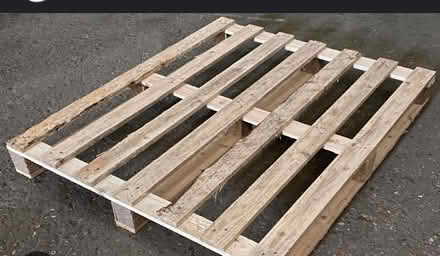 Photo of free One pallet (Ringmer BN8) #1