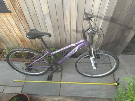 Photo of free Apollo twilight large ladies bike in need of some love (Ringmer BN8) #2