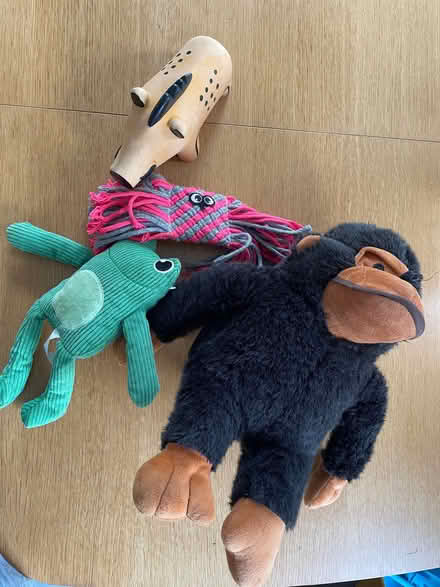 Photo of free Dog toys, various. (North Ascot SL5) #1