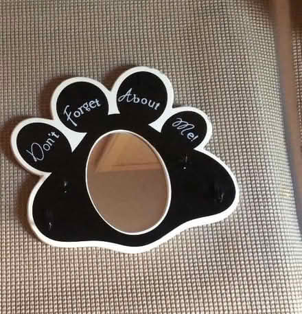 Photo of free Wall hanging for leash/collars (canton) #1