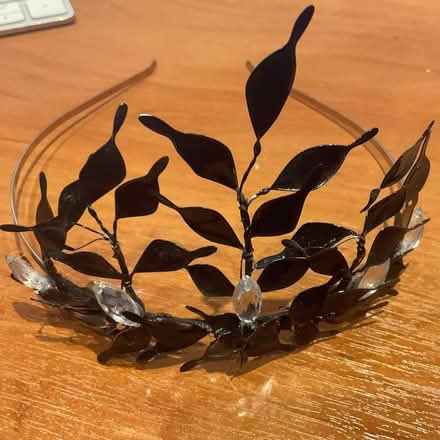 Photo of free Fancy dress tiara (Bear Flat) #2