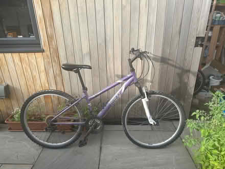 Photo of free Apollo twilight large ladies bike in need of some love (Ringmer BN8) #4