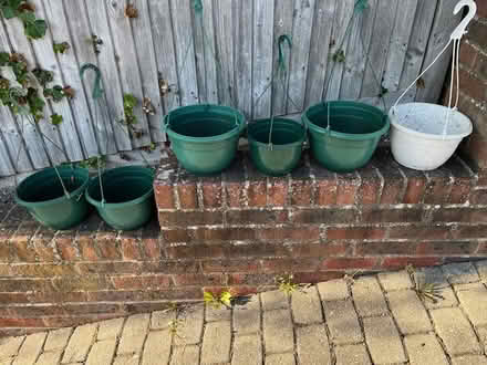 Photo of free selection hanging baskets (Hove) #1