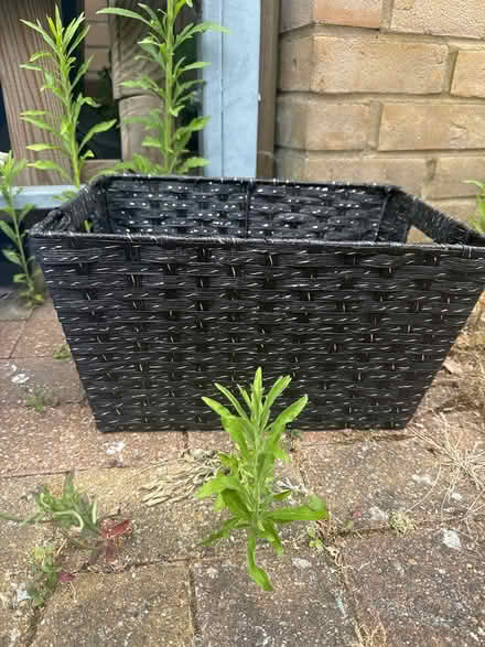 Photo of free Box (Cb13PF) #2