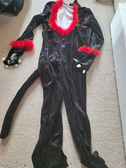 Photo of free Kids dressing up outfit-cat (Chobham GU24) #1