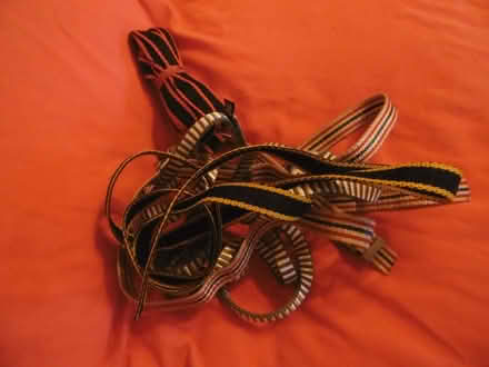 Photo of free Straps (New Radnor LD8) #1
