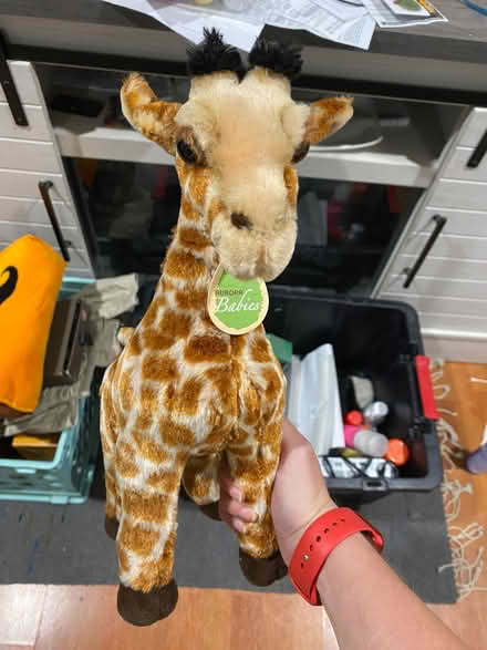 Photo of free items (Oregon) #4