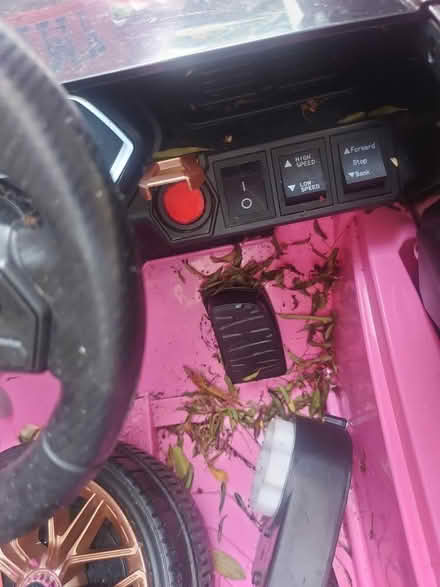 Photo of free Electric car and scooter pink (EN3) #4