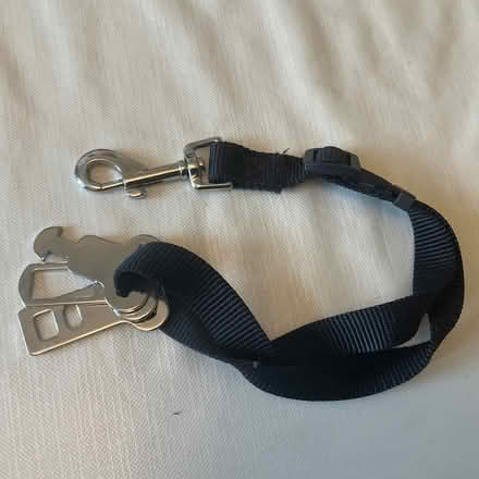 Photo of free Dog seat belt connector (Bear Flat) #2