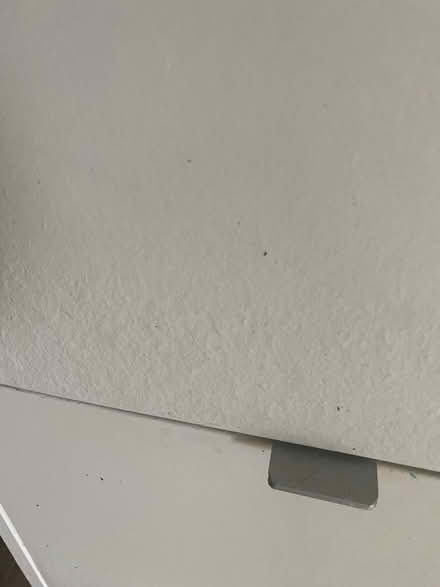 Photo of free Shoe storage (Croydon CR7) #3