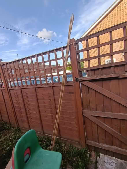 Photo of free 5 6ft bamboo canes (Bennetts End, HP3) #1