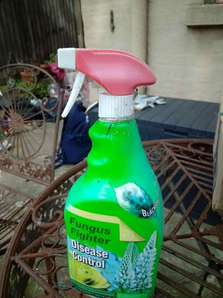 Photo of free Garden bits (Southend-on-sea SS1) #2