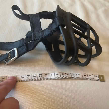 Photo of free Dog muzzle (Bear Flat) #2