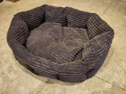 Photo of free Cat bed (IP29 Horringer) #2