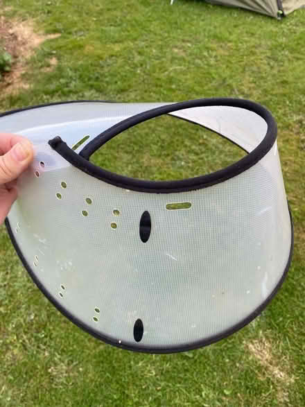 Photo of free Dog bits and pieces (Tonbridge) #2