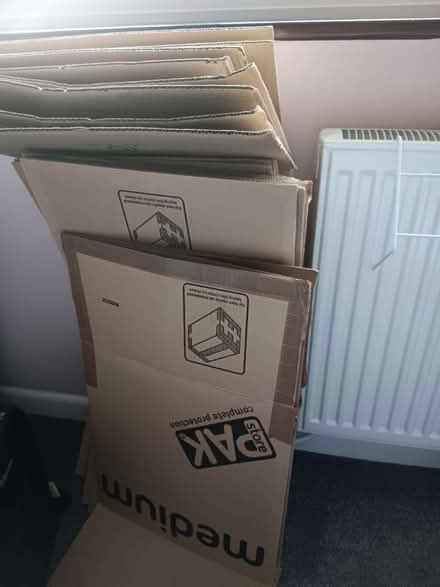 Photo of free Cardboard boxes (Newport PO30) #1