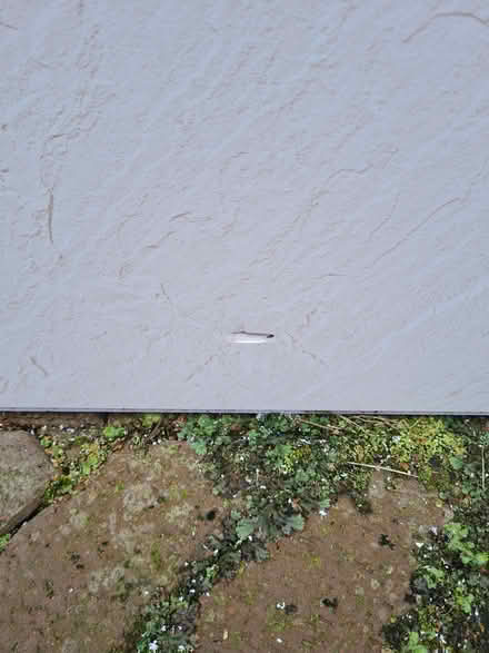 Photo of free Large piece of shower board 242x82cm (Banks PR9) #3