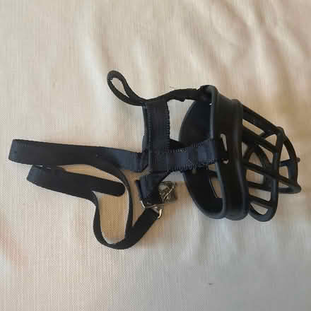 Photo of free Dog muzzle (Bear Flat) #3