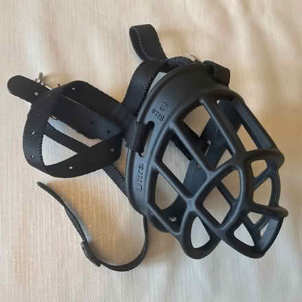 Photo of free Dog muzzle (Bear Flat) #1