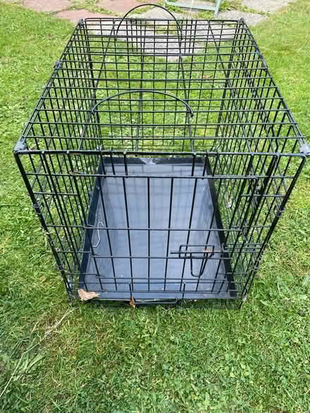 Photo of free Dog crate (Tonbridge) #1
