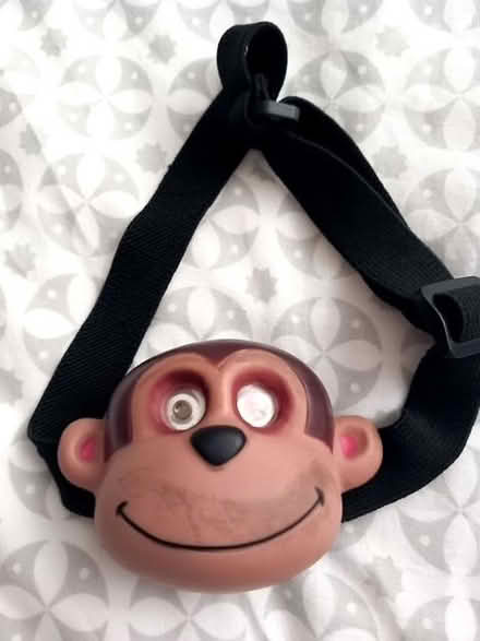 Photo of free Kids head Torch (Wivenhoe CO7) #1