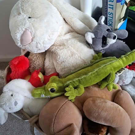 Photo of free Large bundle of soft toys + basket (Warwick CV34) #1