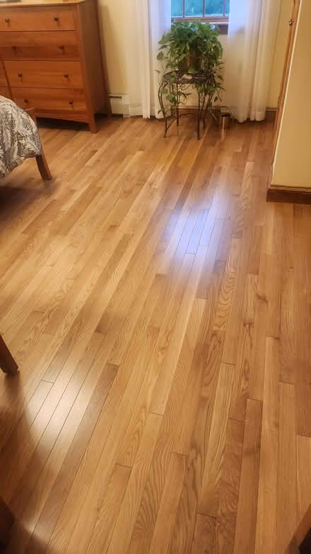 Photo of free White oak hardwood floor (Dunstable) #3