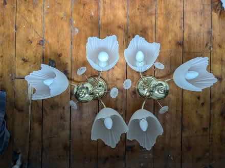 Photo of free 2 x Gold coloured ceiling lights (M19 2PU Burnage/Levenshulme) #1