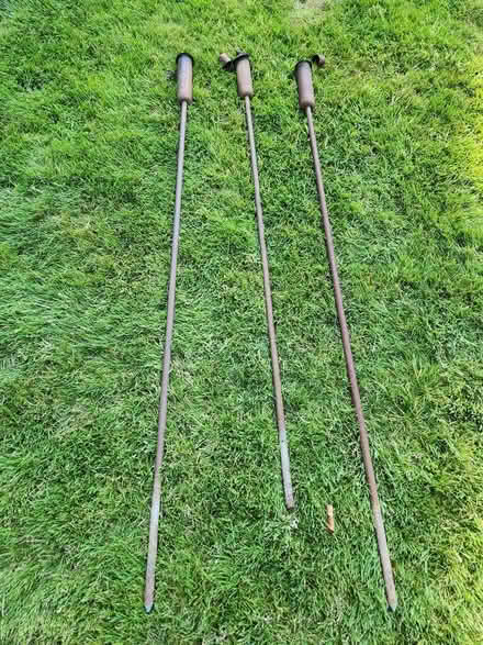 Photo of free Bronze Tiki torches (Lake City Way) #2