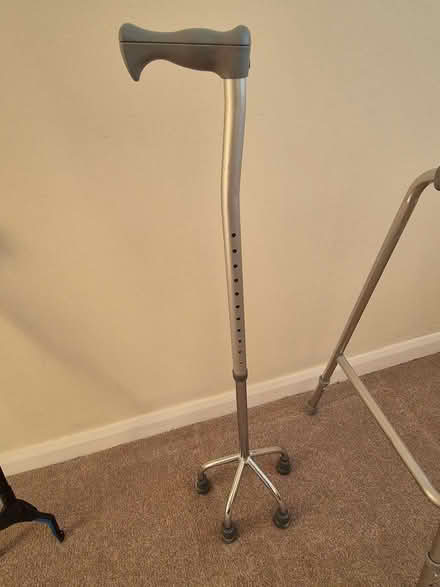 Photo of free Tetrapod walking stick (CH48) #1