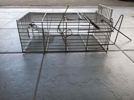 Photo of free Humane Rat Trap (Cirencester GL7) #1