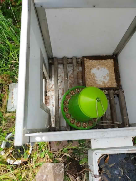Photo of free Chicken coop (Knucklas LD7) #1