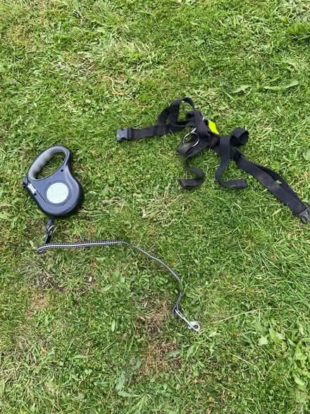 Photo of free Dog bits and pieces (Tonbridge) #1
