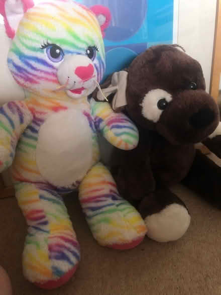Photo of free Teddies (Tolworth, KT5) #1