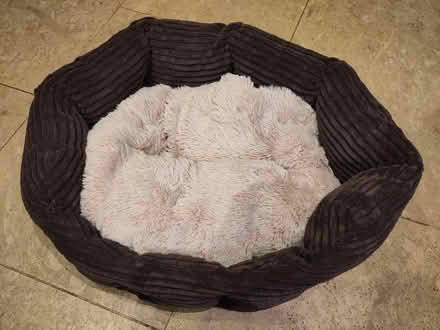 Photo of free Cat bed (IP29 Horringer) #1