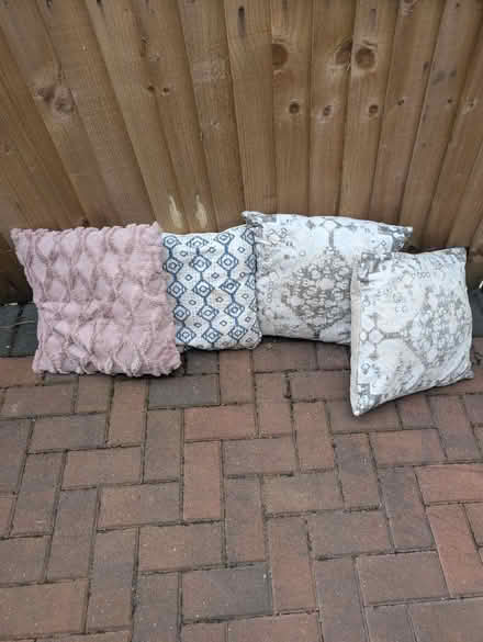 Photo of free Cushions (LS17) #1