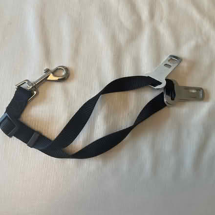 Photo of free Dog seat belt connector (Bear Flat) #1