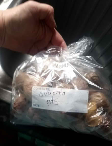 Photo of free Avocado pits for dye or flour (E8) #1