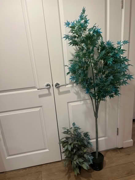 Photo of free Artificial tree and plant (Hale Village N17) #1
