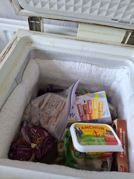 Photo of free Chest Freezer for animals (Seaside BN22) #4