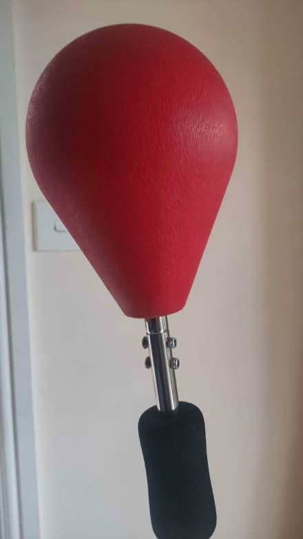 Photo of free Punching bag (DY14) #2