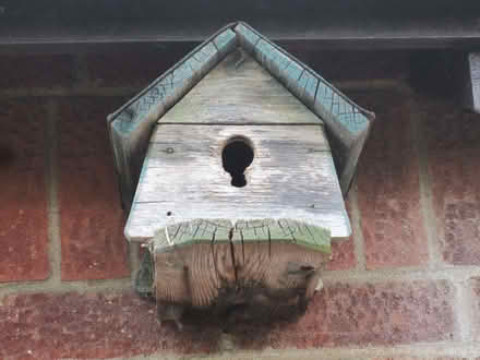 Photo of free Bird Nesting Boxes (2) (Maidenhead SL6) #1