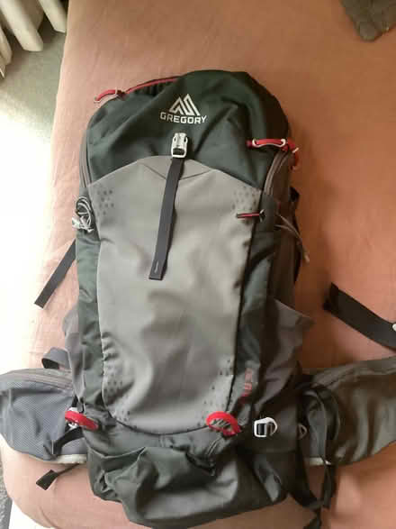 Photo of free Backpacks (Lower Earley RG6) #1