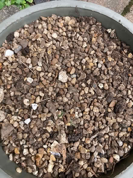 Photo of free Shingle (SO22) #2