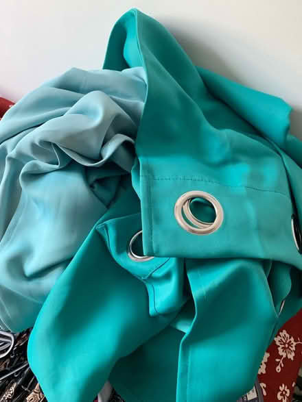 Photo of free Curtains (Brighton , BN1) #1