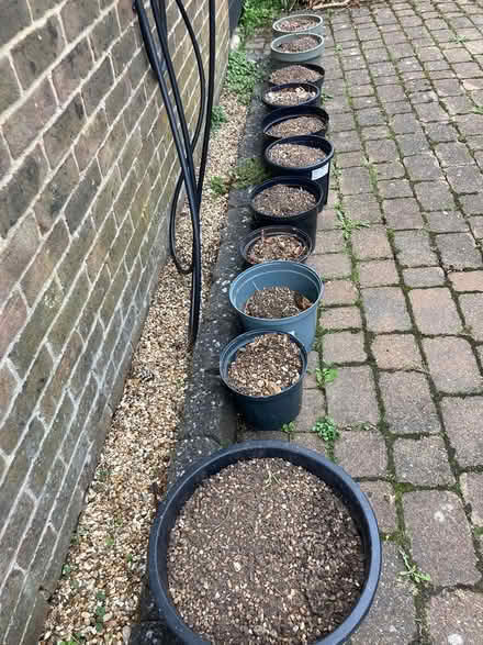 Photo of free Shingle (SO22) #1