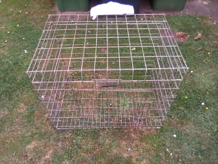 Photo of free Dog crate (Glinton) #1