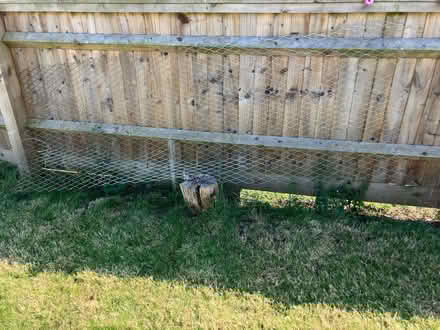 Photo of free Wire Fencing (North Abingdon OX14) #1
